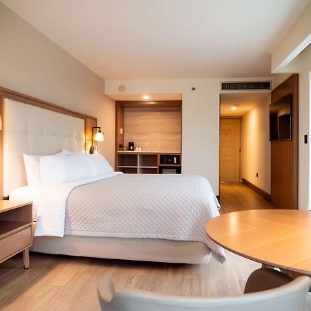 Ms Milenium Monterrey Curio Collection By Hilton Hotel San Pedro Garza Garcia Exterior photo